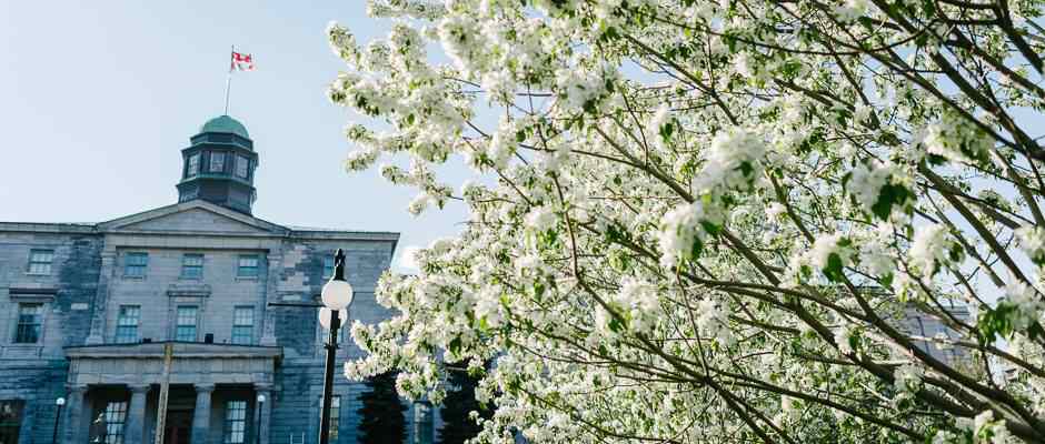 mcgill university mba salary